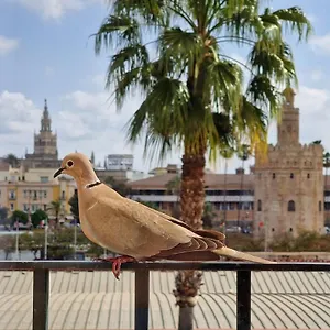 Betis Del Oro Sevilla